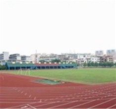 深圳市有限公司企业文化